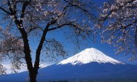 На священной горе Фудзи появился Интернет