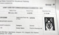 На вступительных документах индийского абитуриента оказалось фото собаки