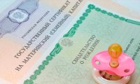Начислять маткапитал на первого ребенка могут начать в марте