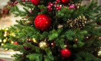 Названо число россиян, хранящих новогоднюю елку до лета