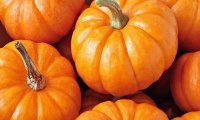 Названы 10 самых полезных свойств тыквы