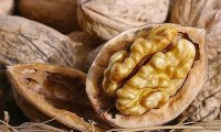Названы малоизвестные свойства грецких орехов