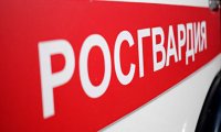 Неадекватный житель Курганской области проломил топором машину Росгвардии