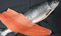 Норвежский лосось теперь  дороже нефти