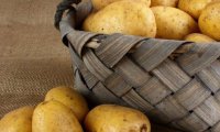 Новый сорт картофеля можно использовать вместо витаминов