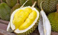 Обнаружена причина неприятного запаха дуриана