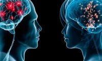 Обнаружено одно из главных отличий женского мозга от мужского