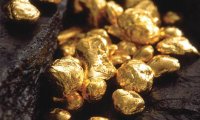 Оказывается, золото можно и есть, и пить