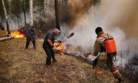 Опять весна – опять в лесу пожары...