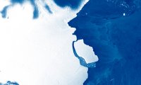 От Антарктиды откололся айсберг весом 315 млрд тонн