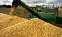 Пекин дал добро на импорт российской пшеницы