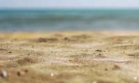 Пляжный песок содержит опасные бактерии