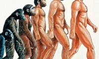 По мнению ученых, человек продолжает эволюционировать  