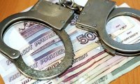 Победительницу праймериз единороссов заподозрили в мошенничестве