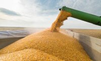 Почему столько ажиотажа вокруг «зерновой сделки» и что выиграет Россия от разблокирования украинских портов