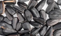 Подсолнечные семечки могут подорвать здоровье печени