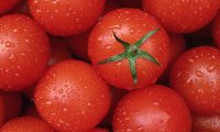 Помидоры признали новым лекарством от бесплодия