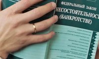 Потенциальные банкроты-физлица задолжали банкам 15,5 млрд рублей