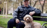 Пожилым людям необходимо завести собаку