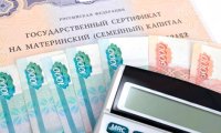 Правительство до октября определит судьбу программы материнского капитала