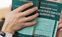 Процедуру банкротства граждан могут удешевить