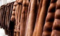 Продажи меховых изделий в России выросли до 68 млрд руб. в год