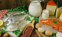 Продукты, богатые жирами, остановят старение мозга