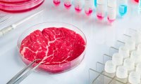 Производители искусственного мяса США получают разрешения на продажу своей продукции