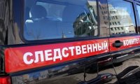 Пропавшую в Подмосковье девочку могли убить ее приемные родители