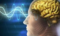 Психологи рассказали, как можно обмануть свой мозг, и как мозг обманывает нас