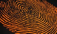 РАН признала дерматоглифическое тестирование лженаукой