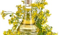 Рапсовое масло назвали средством от лишнего веса