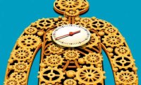 Революция в медицине: как тесты на биологические часы изменят наше здоровье
