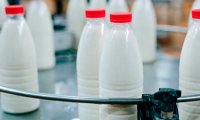 РФ ввела запрет на молочку ряда белорусских заводов