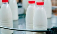 Роскачество проверило продукцию с заменителями молочного жира