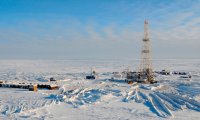 «Роснефть» выиграла три участка в Арктике