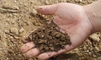 Роспотребнадзор назвал регионы с самой загрязненной почвой‍