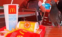 Роспотребнадзор расширил географию проверок "Макдоналдса"