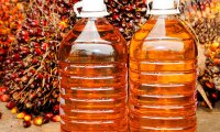 Россельхознадзор может ввести контроль за перемещение пальмового масла