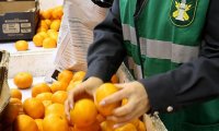 Россельхознадзор проверит продукты в Сирии, поставляемые в РФ