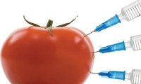 В России запретили ГМО 