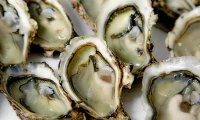 Российские компании нарастили производство устриц в 265 раз