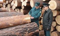 Россия сориентировала экспорт древесины в Азию