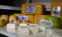 Россия ввела запрет на ввоз сыроподобных продуктов c Украины
