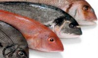 Россия  запретила завозить  рыбу через Литву