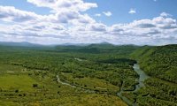 Россиян уравняли в доступе к дальневосточным гектарам