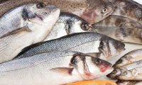 Рыба названа самым чистым продуктом питания