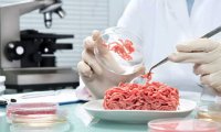 Рынок растительных заменителей мяса и молочных продуктов в Европе к 2025 году вырастет до 7,5 млрд евро