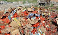 Самые известные исторические примеры уничтожения продуктов