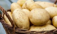 Самым опасным продуктом назвали картофель